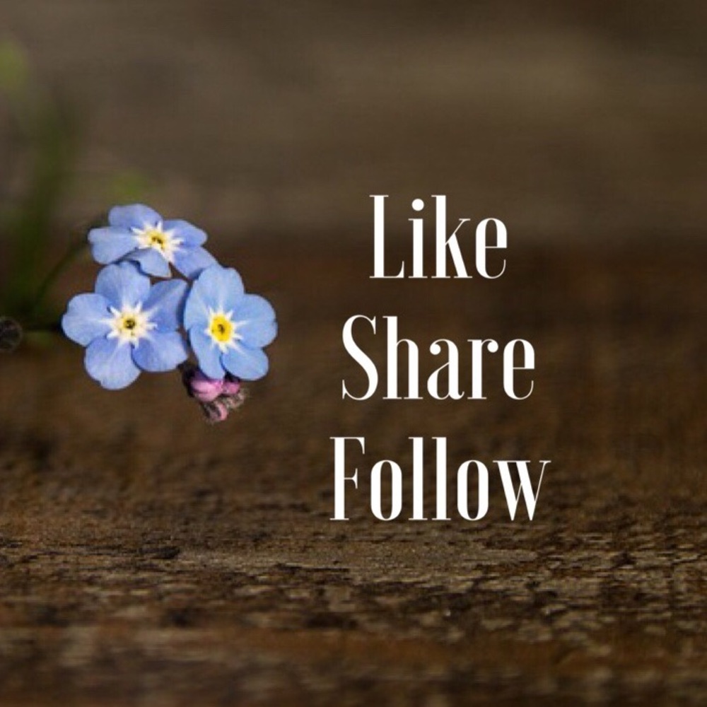 Let’s grow together!